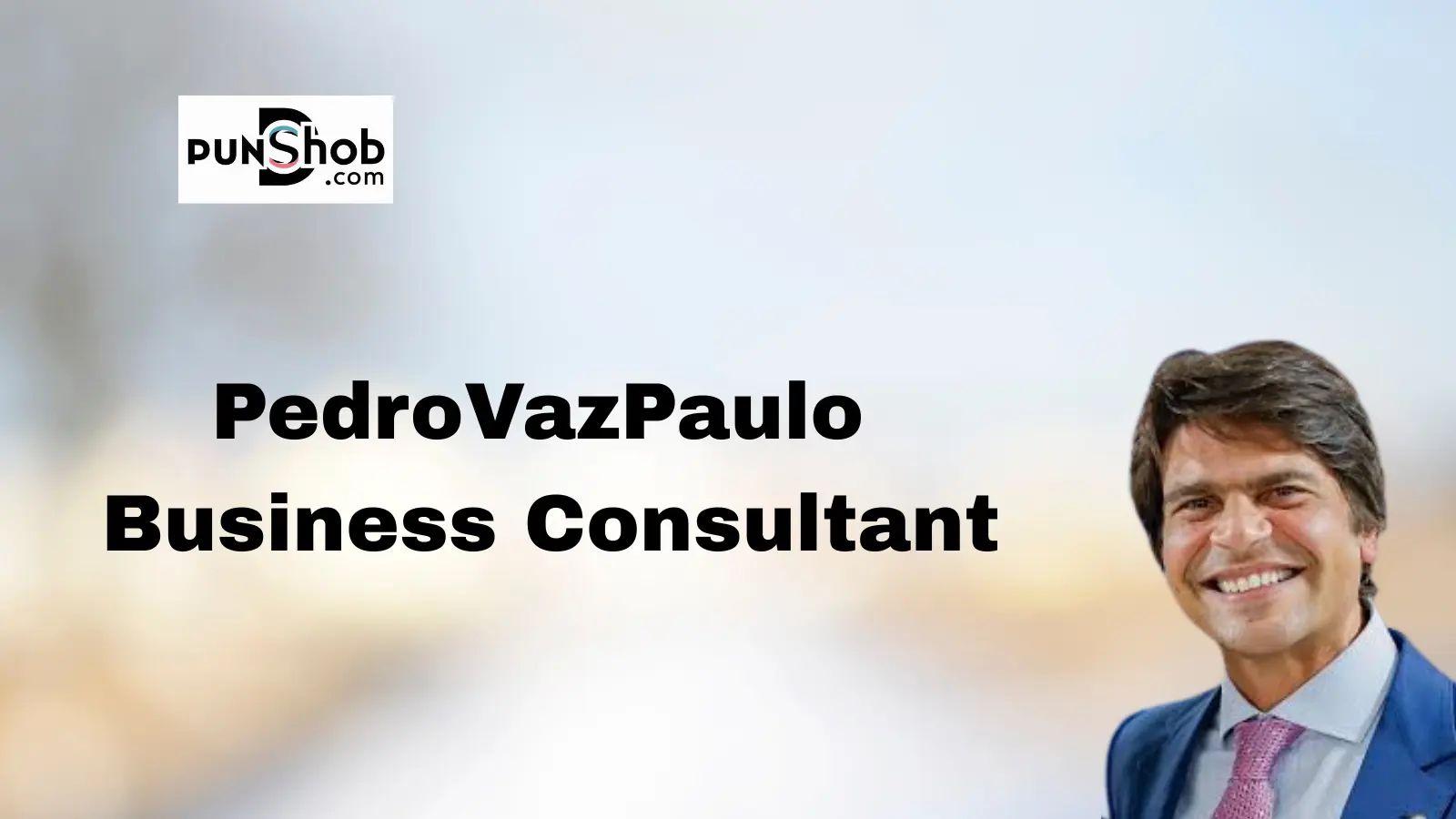 pedrovazpaulo-business-consultant